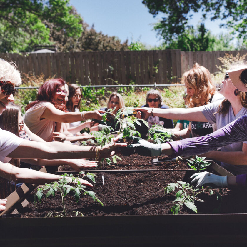 Cannabis Content & Media Photographer Jennifer Skog